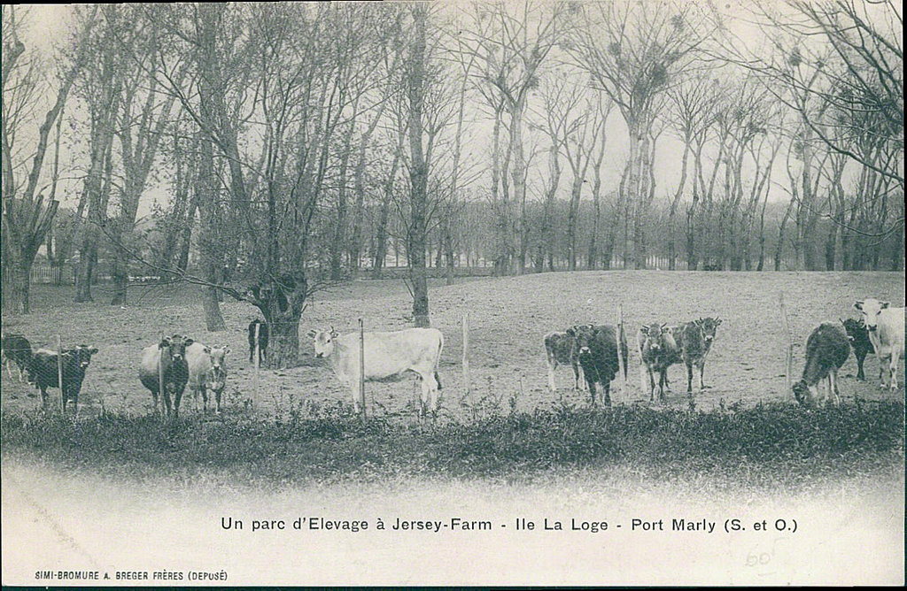 Carte postale sur Le Port-Marly - France
