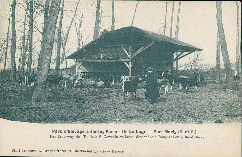 Carte postale sur Le Port-Marly - France